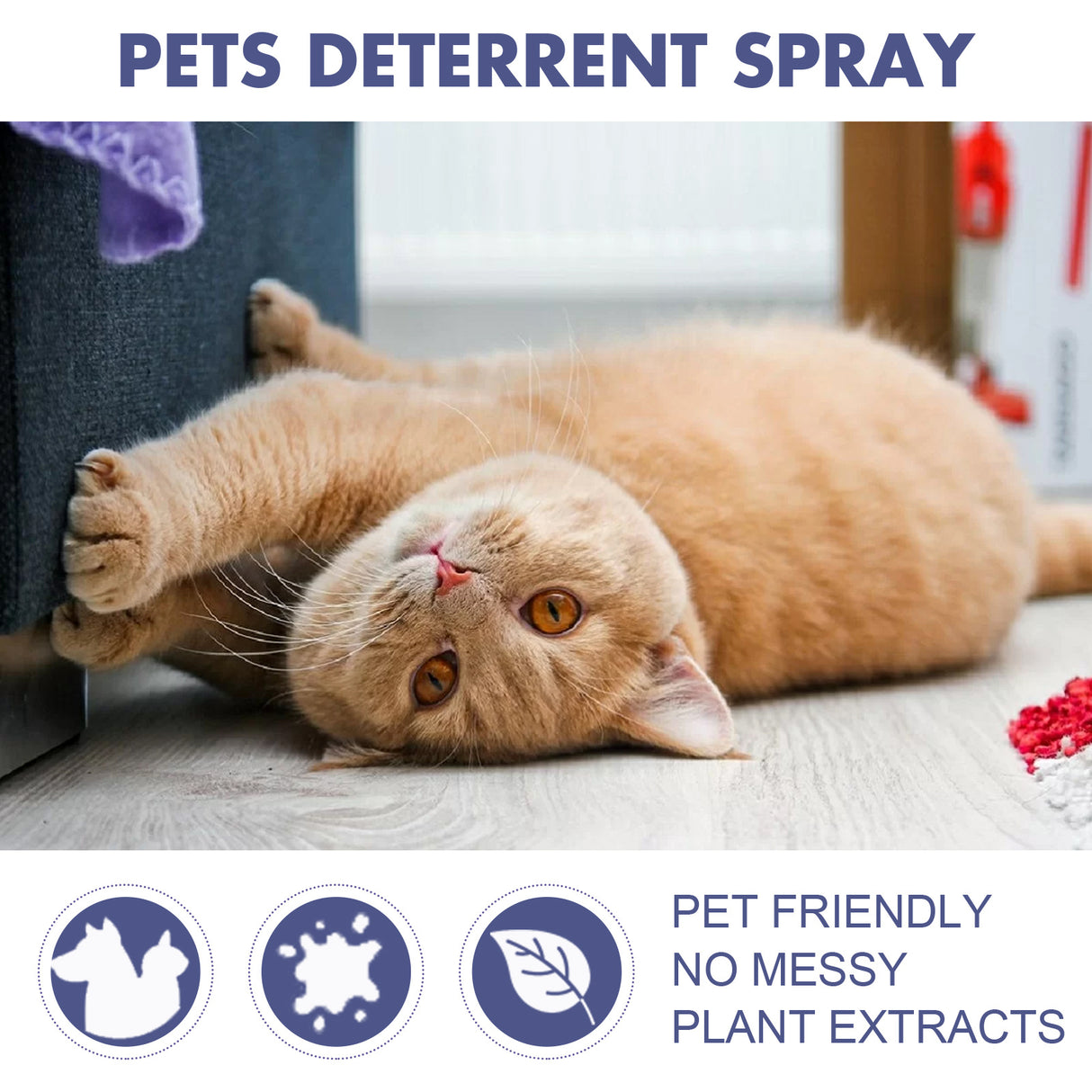 Pet Anti-Scratch Spray Exclusion Zone Set Up Spray Cat And Dog Scratching Door Sofa Anti-Scratch Solution - V.I.P Digital Presence