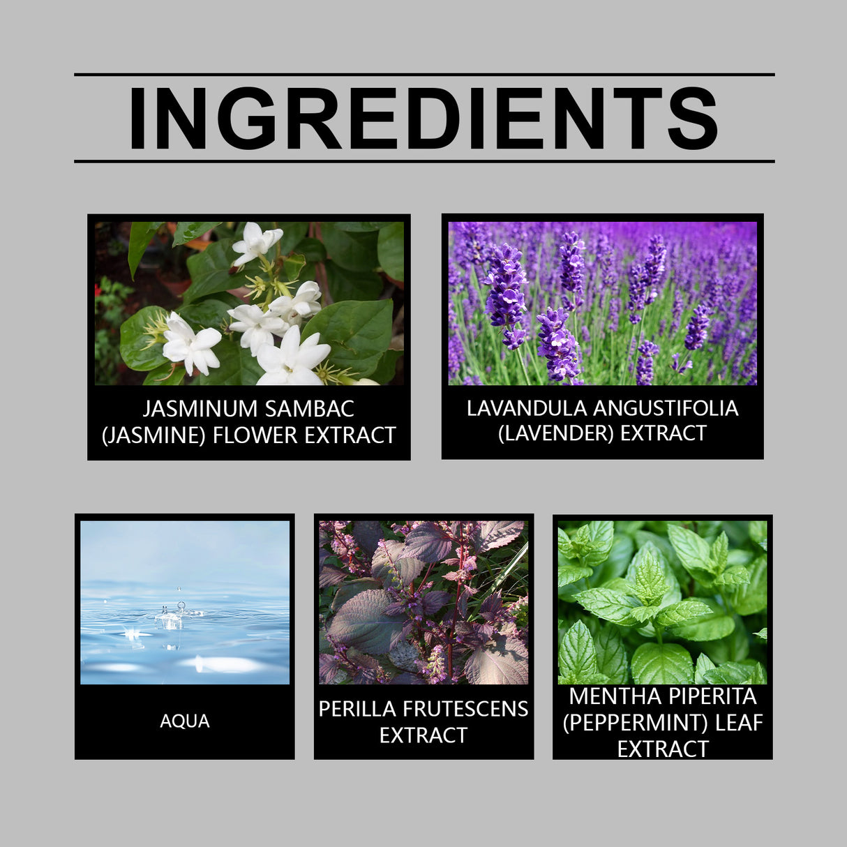 Romantic Pair Of Jasmine Perfume, Light Elegant Exudes Charm Leave Fragrance Fragrance Eau De Toilette Wood Floral Notes - V.I.P Digital Presence