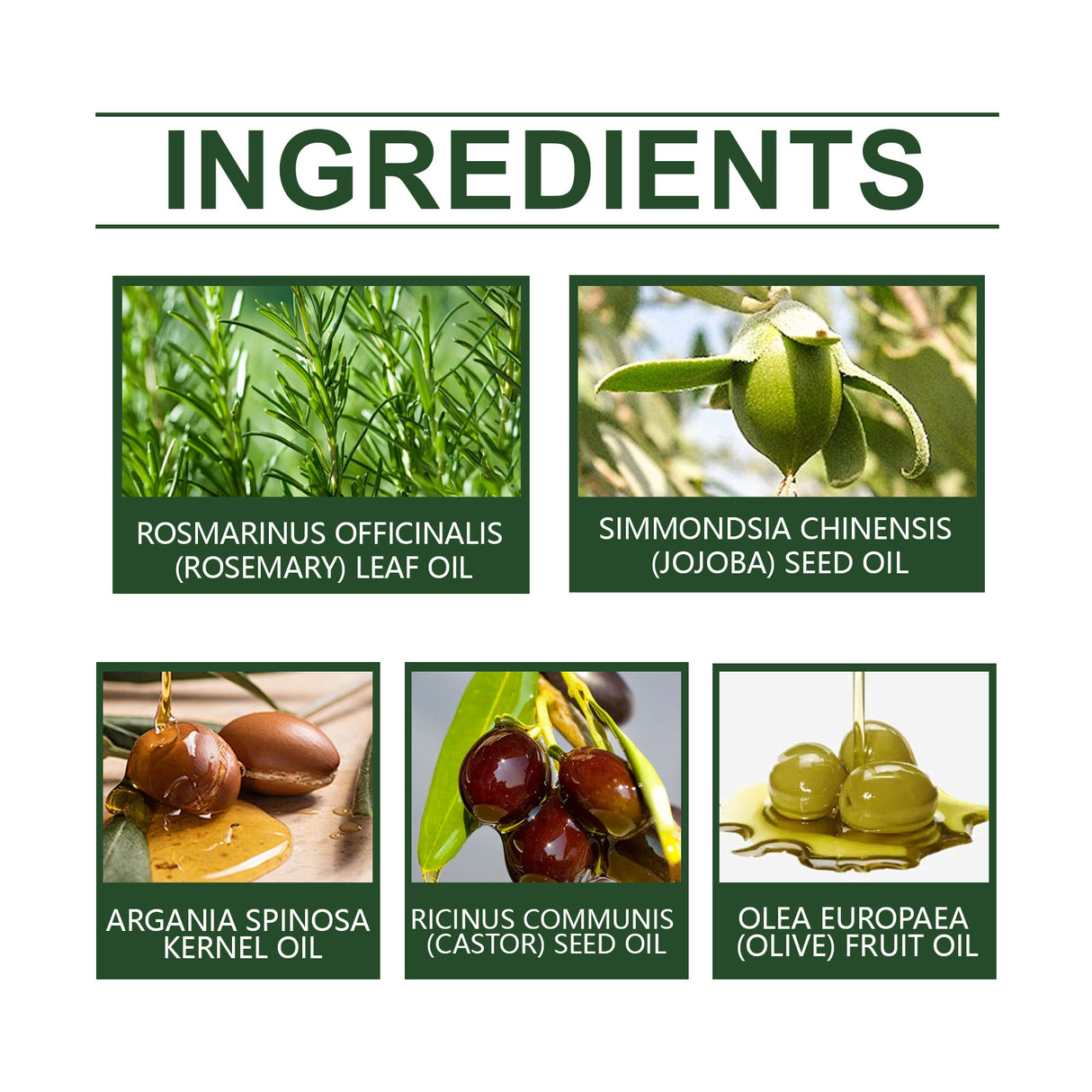 Rosemary Oil For Hair Growth, Promotes Healthy And Nourishing Strong Hair Essential Oil Hair Growth Oil - V.I.P Digital Presence