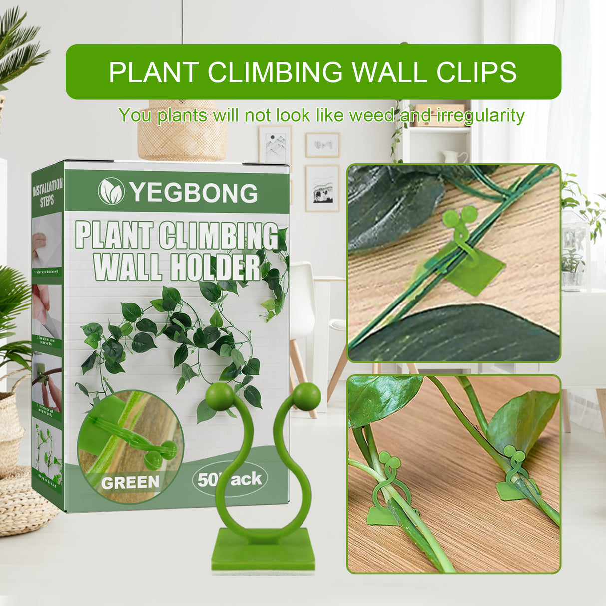 Plant Climbing Wall Holder, Household Vine Plant Wall Climbing Self-adhesive Retainer - V.I.P Digital Presence