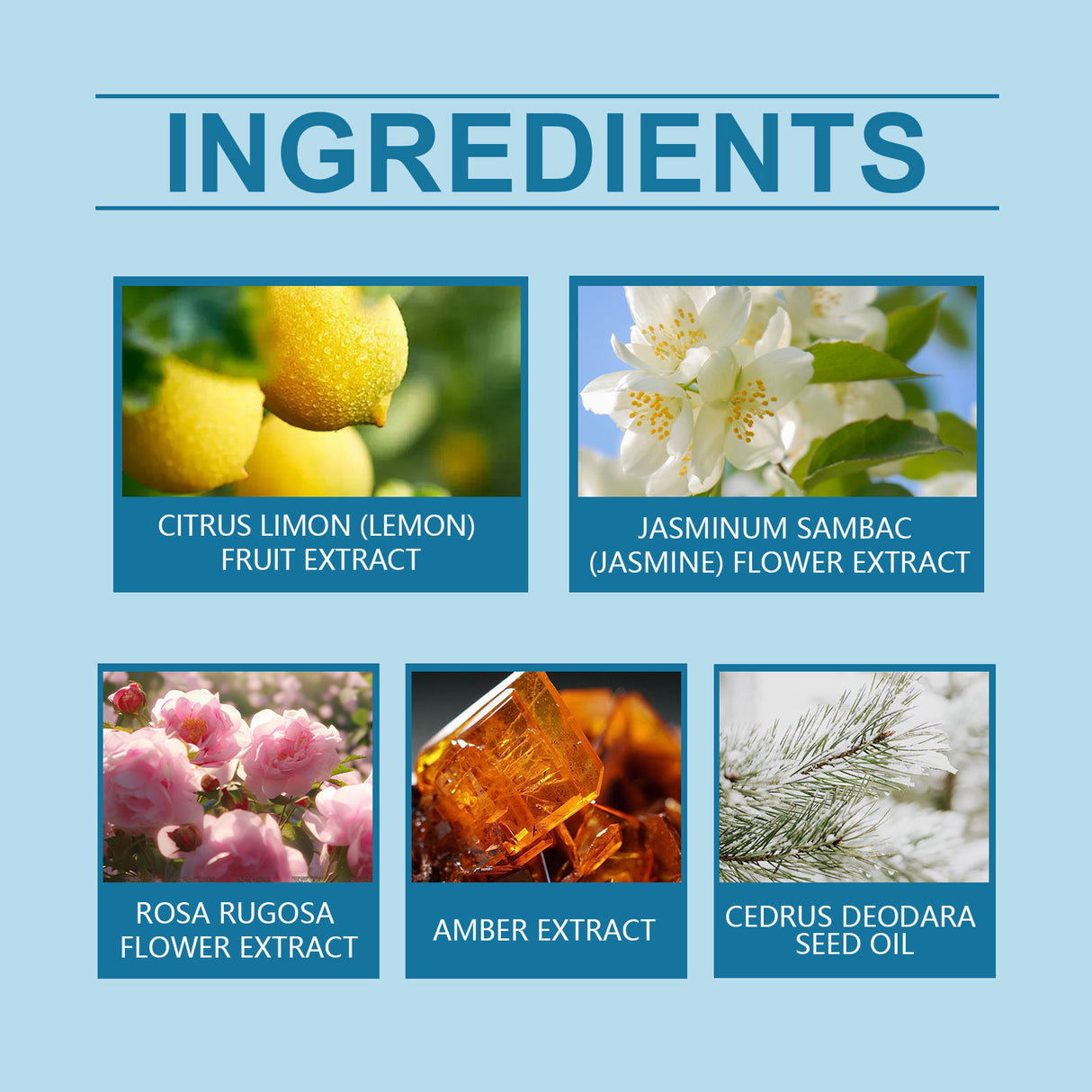 Summer Lemon Perfume Natural Fresh Lasting Bergamot Vibrant Bouquet Bouquet Light Fragrance Light Elegant Perfume - V.I.P Digital Presence