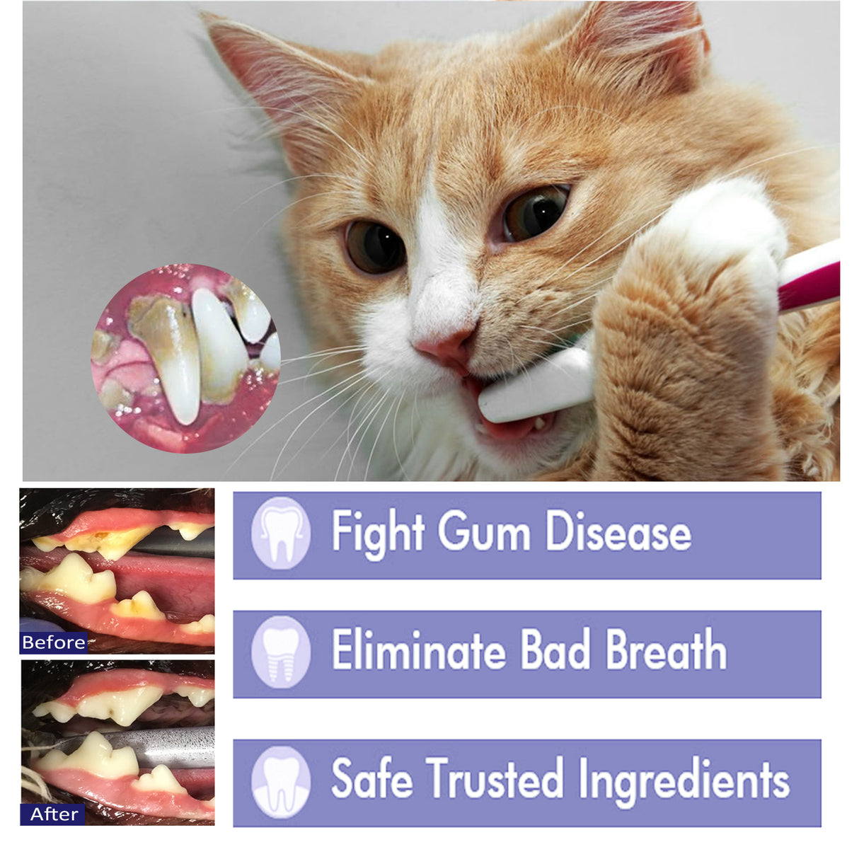 Pet Mouth Cleaning Cream, Cats And Dogs Clean Bad Breath Tartar Stains White Teeth Cream - V.I.P Digital Presence
