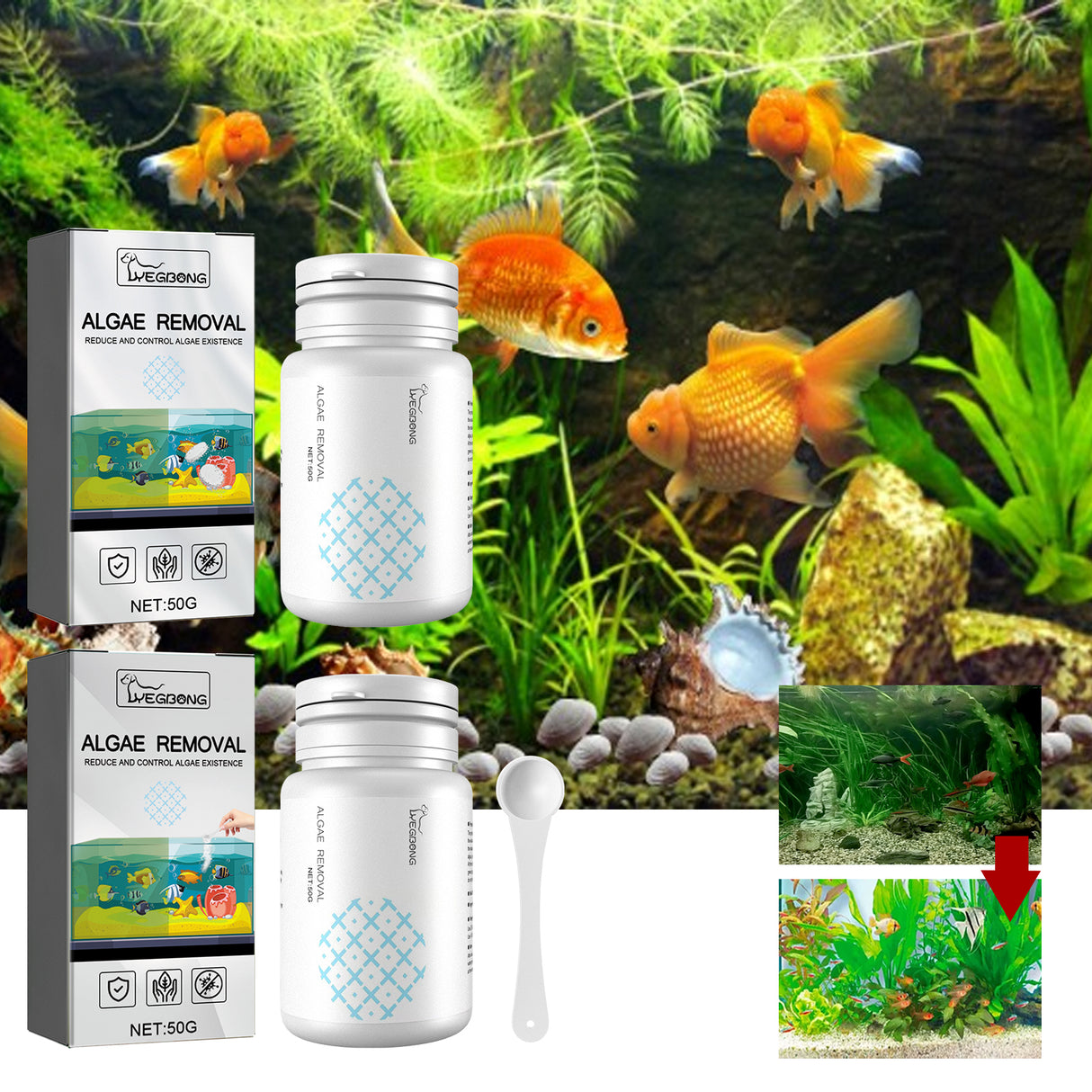 Algae Removal, Aquarium Cleaning Agent Algae Removal Moss Fish Tank Moss Removal Agent Algae Removal From Green Water - V.I.P Digital Presence