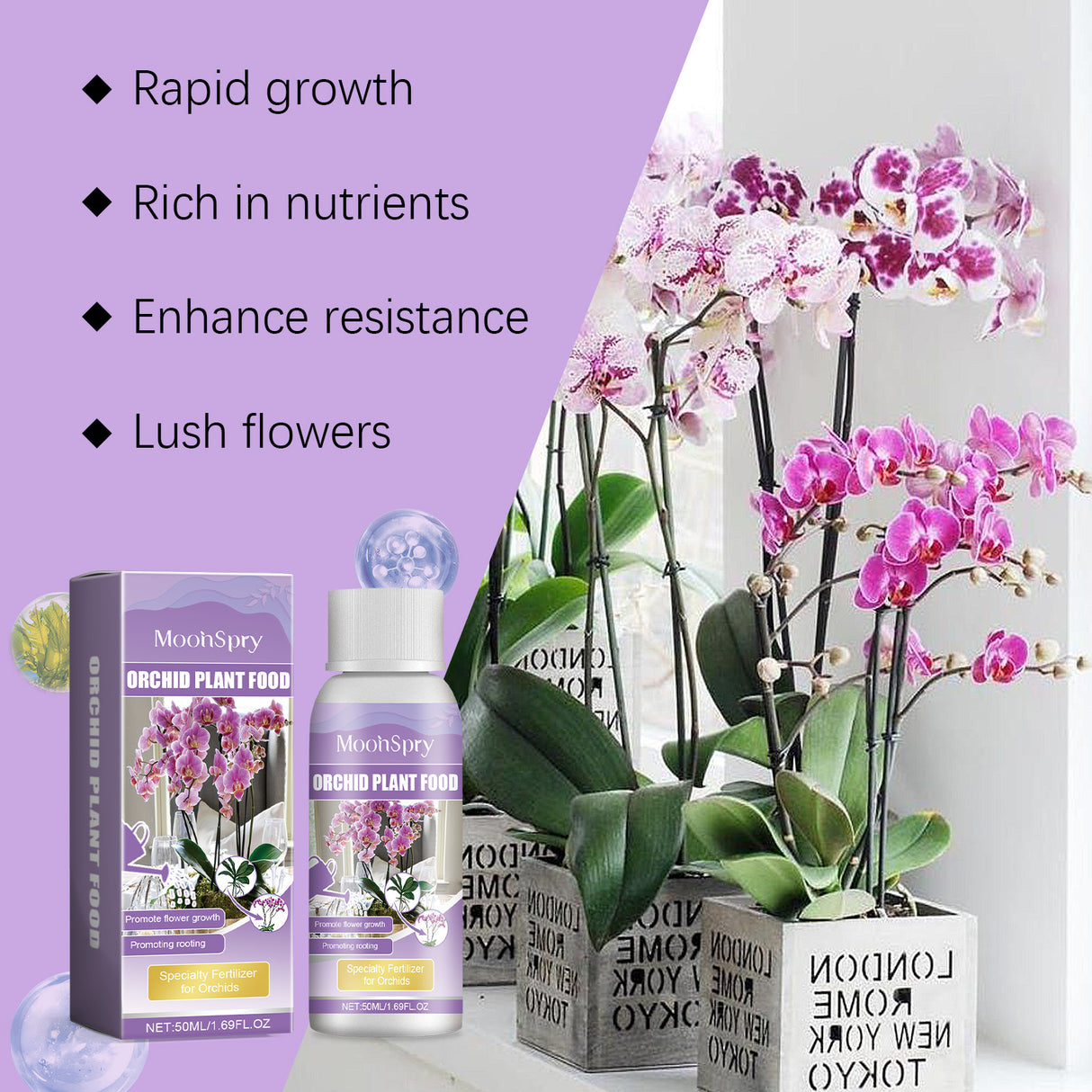 Orchid Plant Growth Agent Flower Green Plant Special Nutrient Solution For Orchid Pot Common - V.I.P Digital Presence