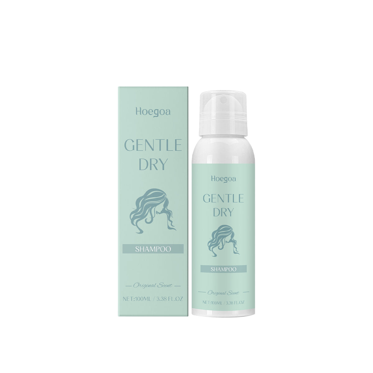 Leave-In Dry Hair Spray Dry Cleaning Spray Oil Control Volumizing Glossy Hair Easily Manage Hair - V.I.P Digital Presence