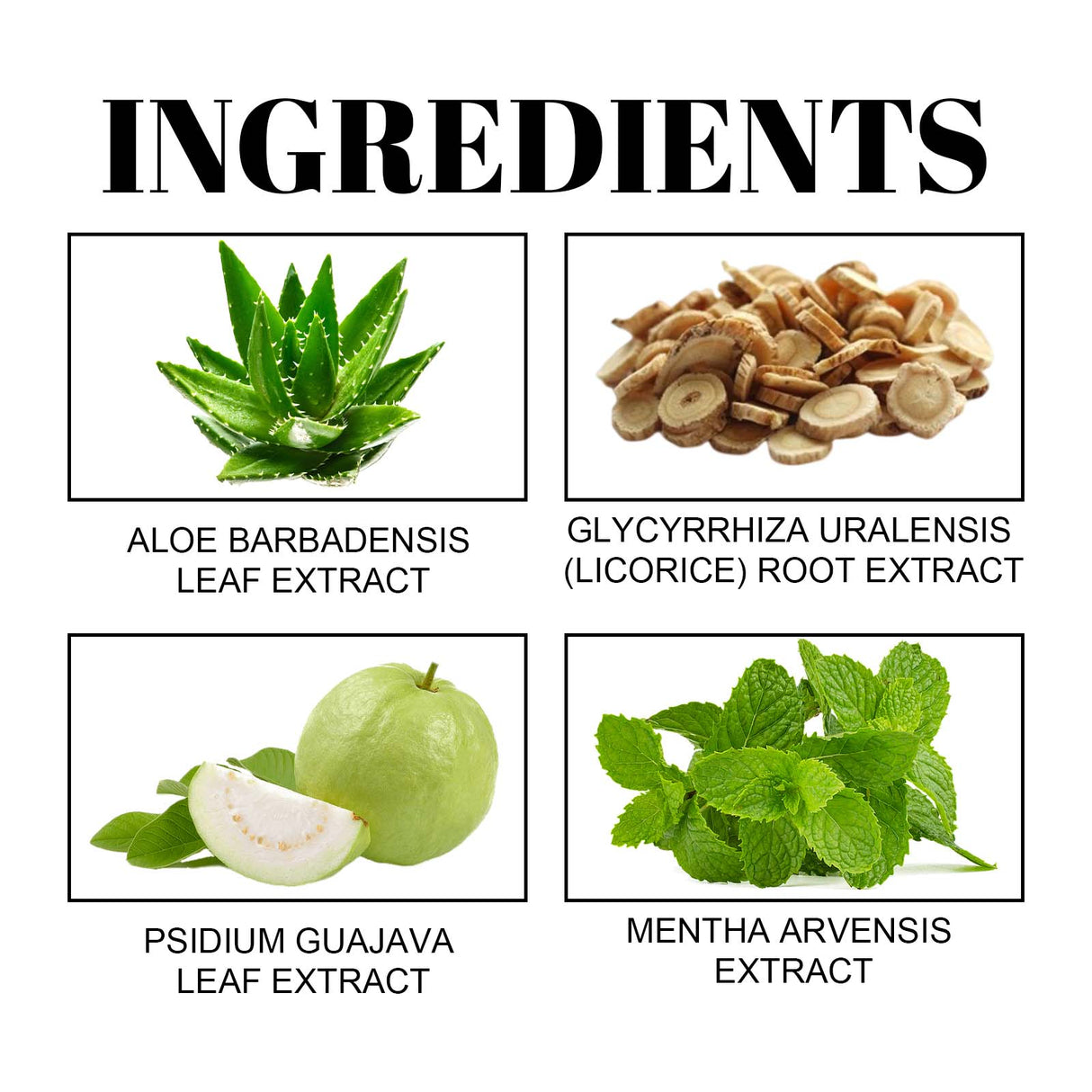 Fresh And Comfortable Toothpaste, Gentle Care For Teeth, Comfortable Mouth, Remove Stains And Odors Portable Mint Toothpaste - V.I.P Digital Presence