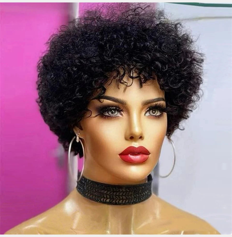 Large Bouncy Afro Kinky Curly Wigs For Black Women Glueless Pre Plucked Machine Made Wig Brazilian Virgin Remy Human Hair Wigs - V.I.P Digital Presence