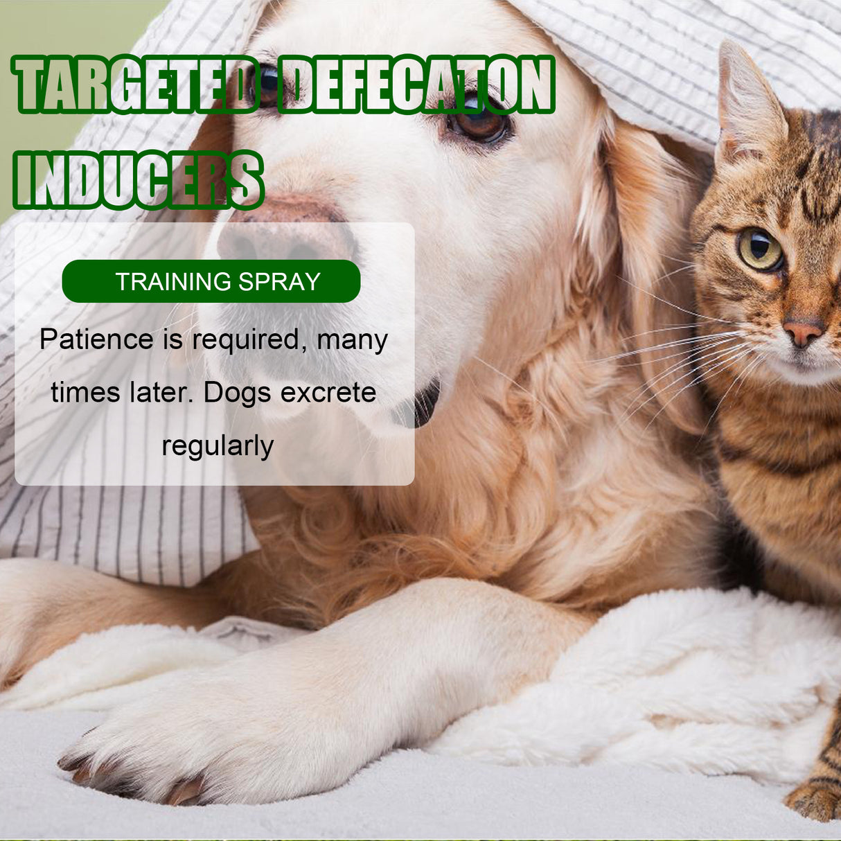 Pet Location-Based Defecation Inducers, Pet Toilet Inducer Urine Locator Toilet Training Agent - V.I.P Digital Presence