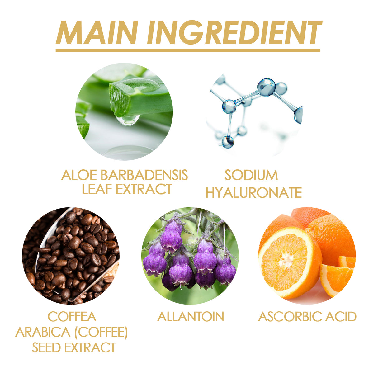 Liquid Silk Body Essence Oil, Firming Skin Filling Water Tender Skin Moist Fresh And Not Greasy Skin Oil - V.I.P Digital Presence