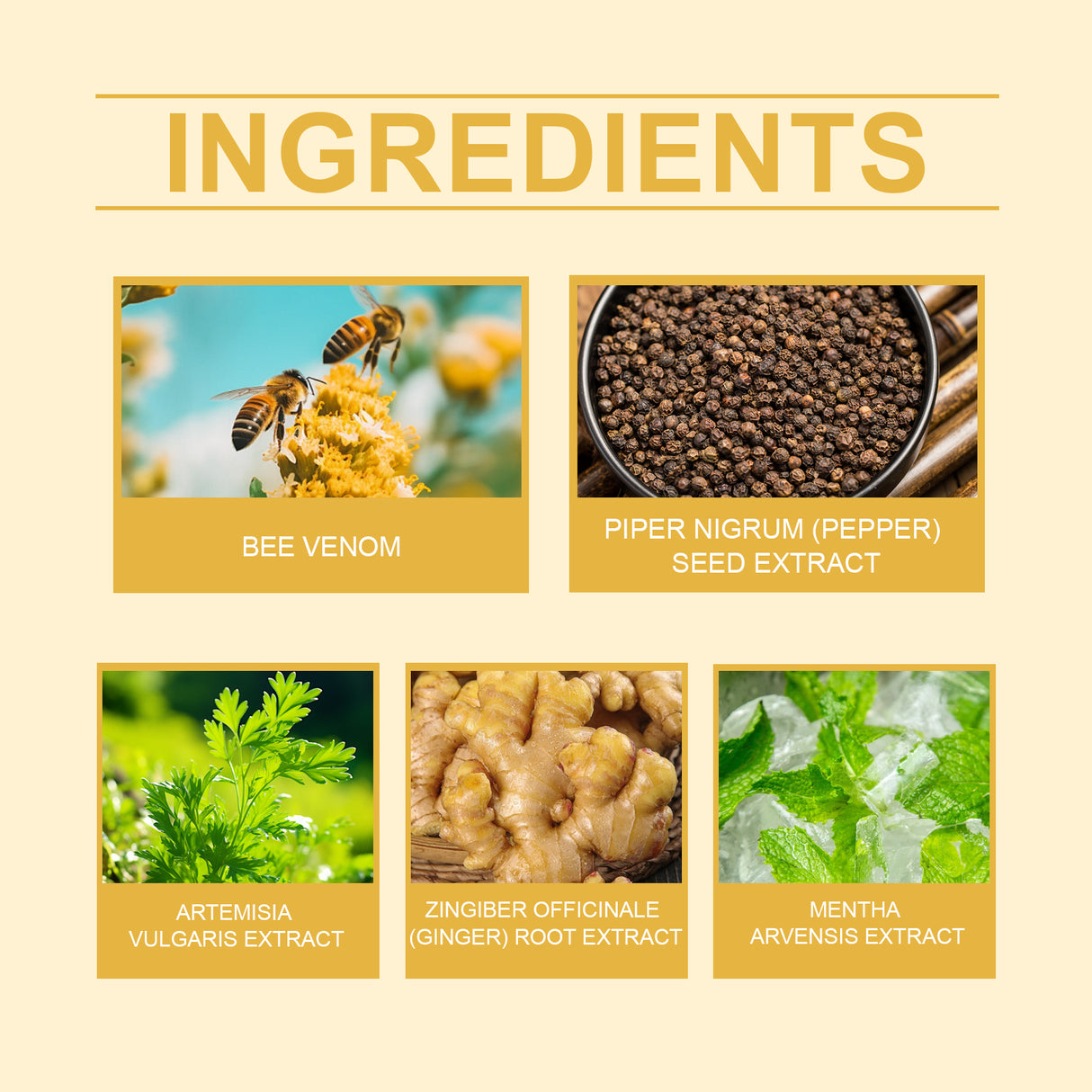 Bee Venom Body Care Patch, Body Firming Body Light Body Daily Lazy Care Patch - V.I.P Digital Presence