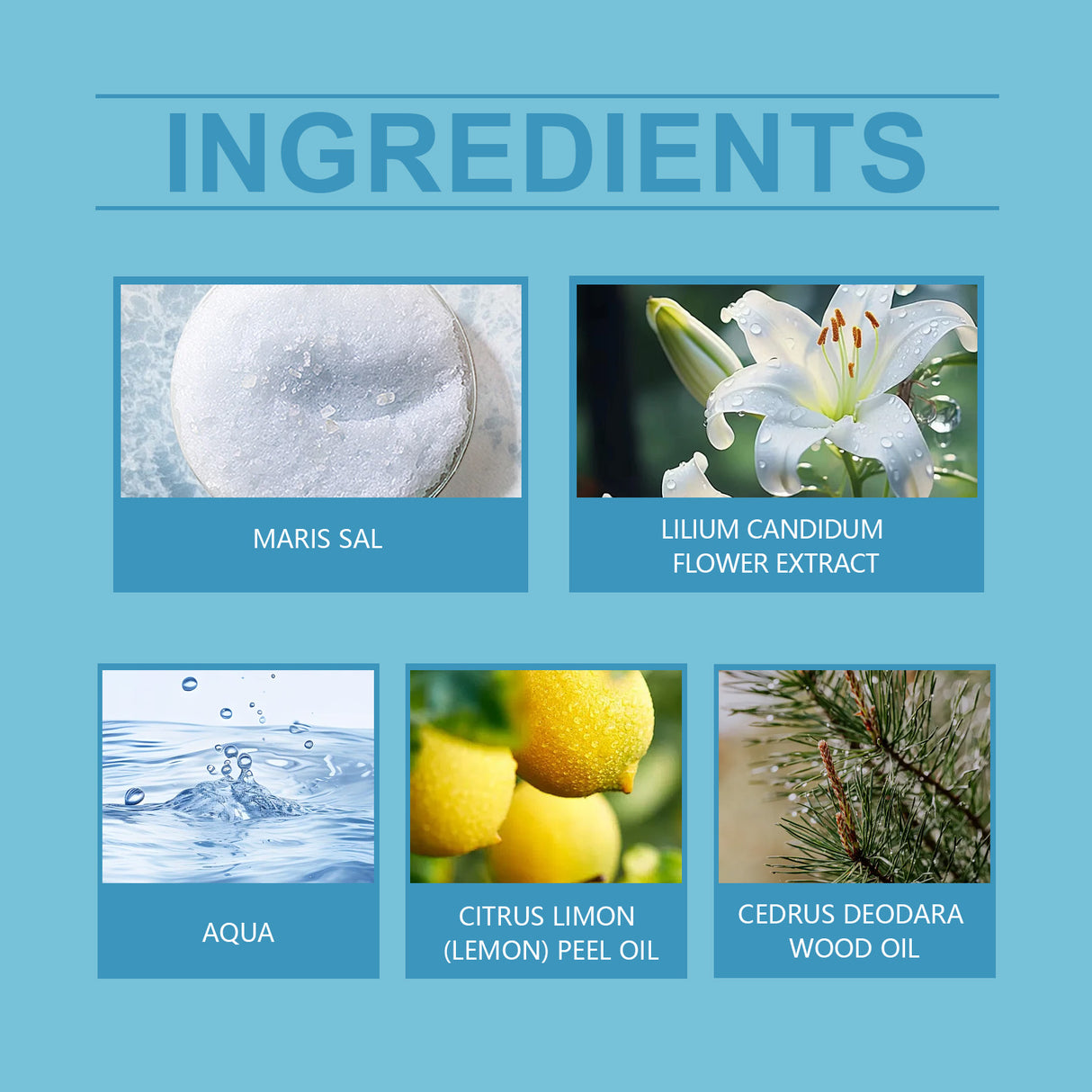 Fresh Ocean Perfume Ball Natural Fragrance Lasting Fragrance Date Sea Breeze Tune Fresh Rolling Ball Perfume - V.I.P Digital Presence