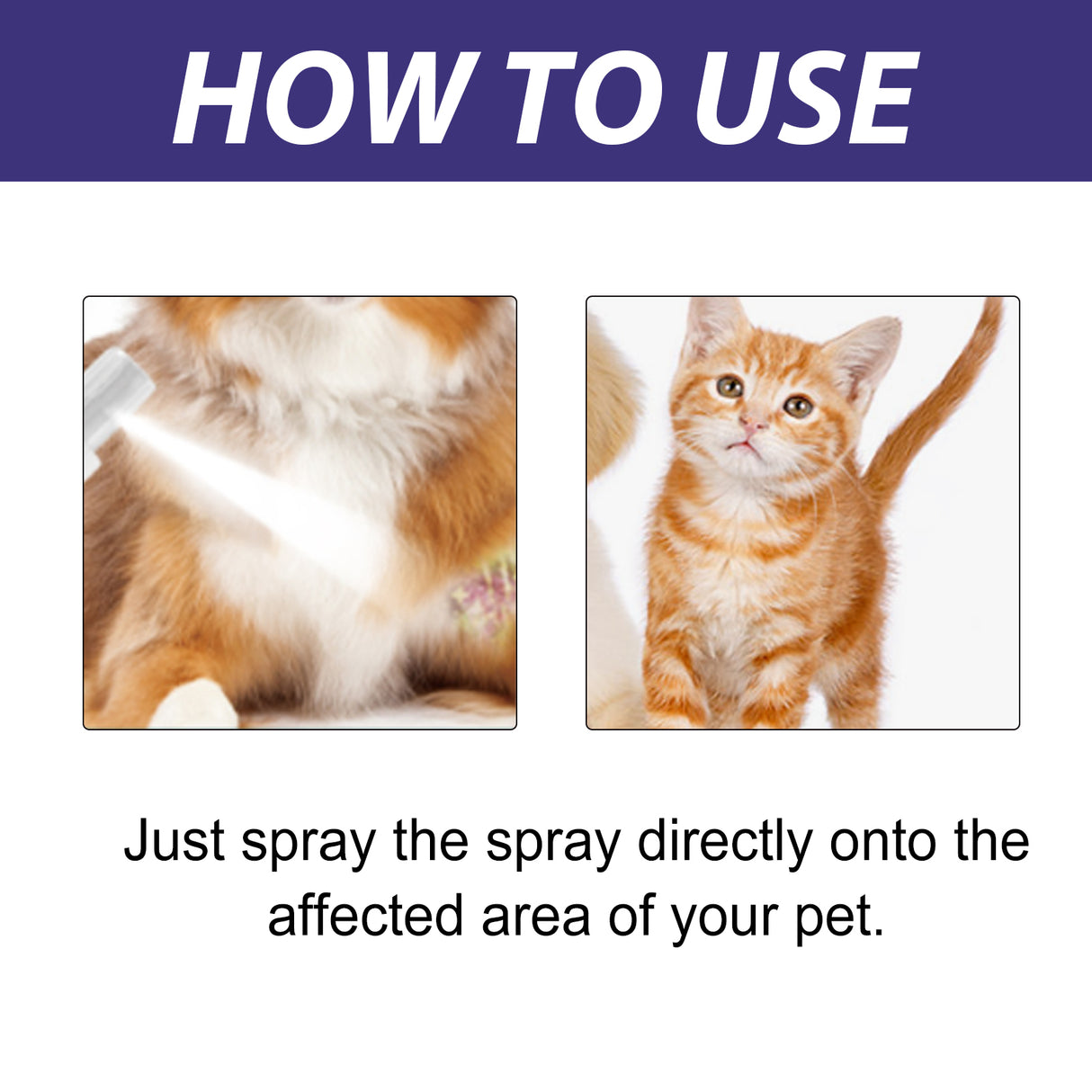 Pet Care Spray, Pet Cat And Dog Skin Wound Care Skin Moss Itchy Repair Spray - V.I.P Digital Presence
