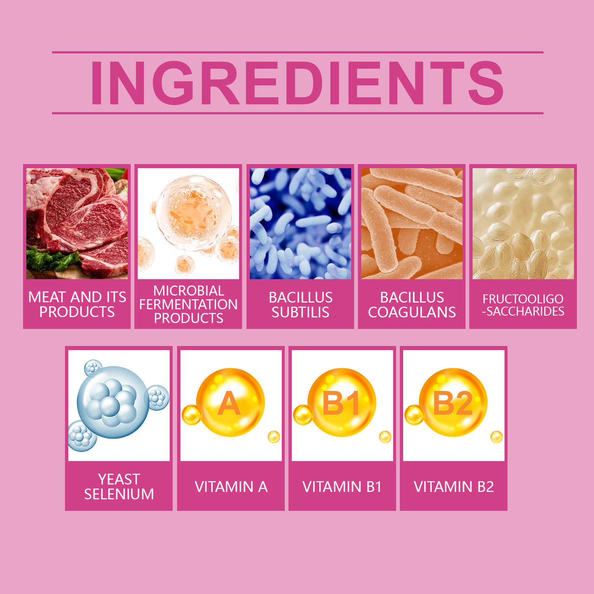 Dog Probiotic Tablets To Improve Intestinal Health, Balance Digestion And Absorption Of Pet Nutritional Supplements - V.I.P Digital Presence