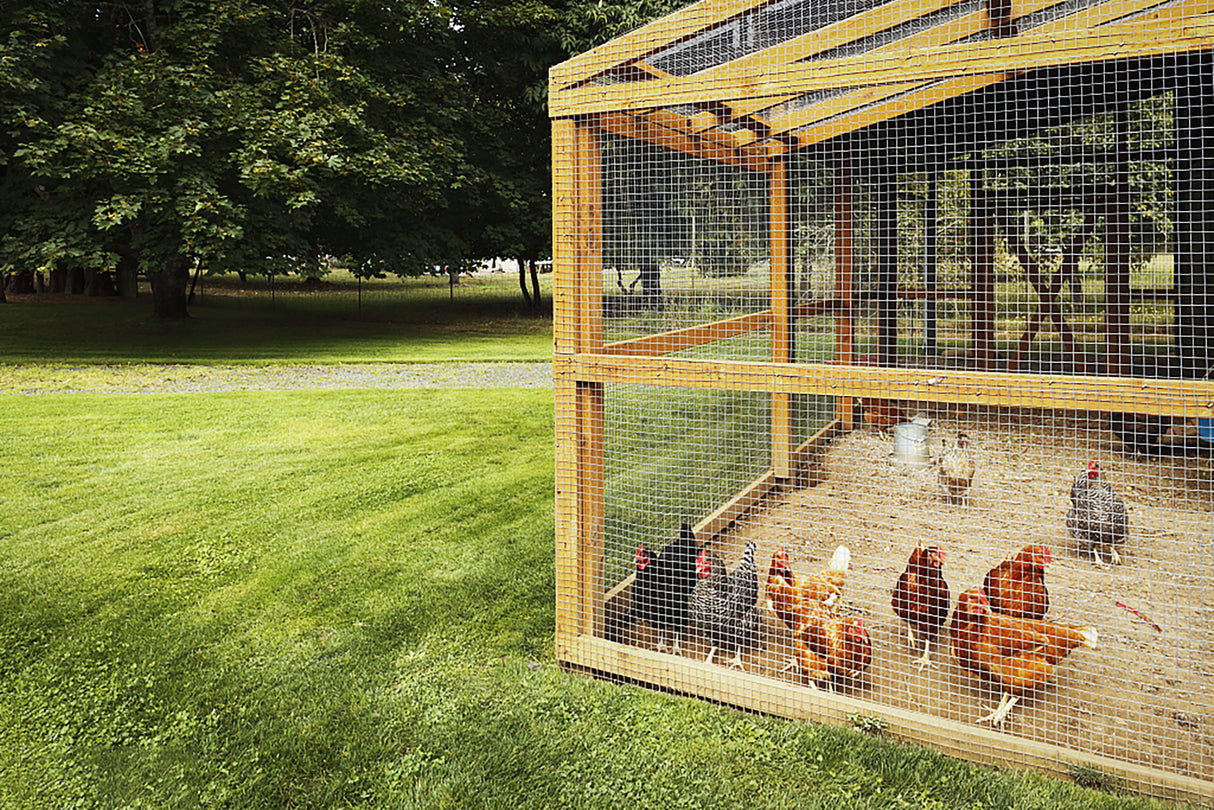 Hardware cloth 1/4 inch 36 inch x 100 foot 23 gauge, hot-dip galvanized welded metal wire fence roll