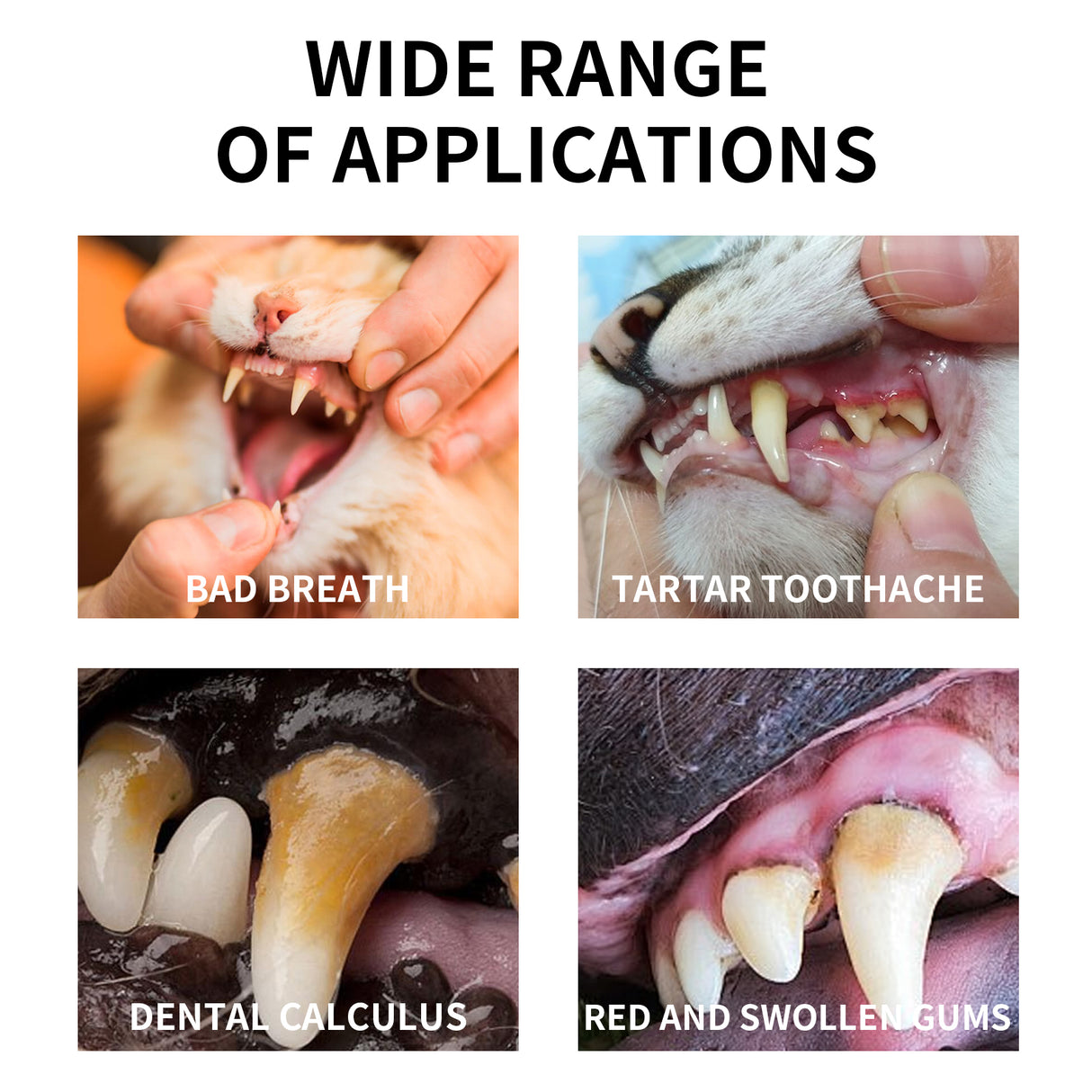 Pet Mint Fresh Breath Spray, Clean Your Dog's Bad Breath Fresh Breath Care - V.I.P Digital Presence