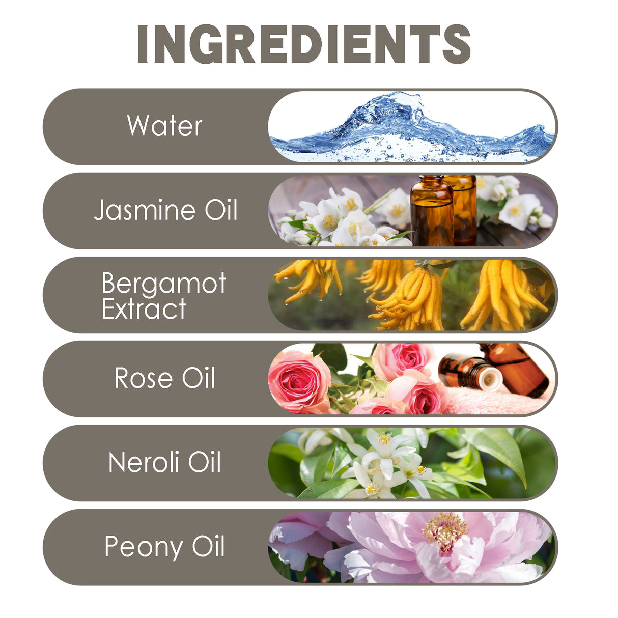 Deodorant Roll-On Perfume, Relives Underarm Body Odor Refreshing Anti-Perspirant Natural Fragrance Portable Perfume - V.I.P Digital Presence