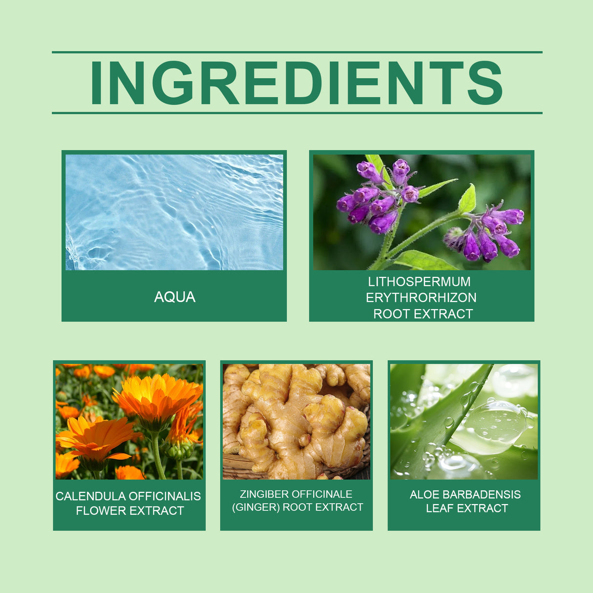 Herbal Joint Cream Joint Muscle Massage Cream Nourishing Skin Care Cream For Neck And Back - V.I.P Digital Presence