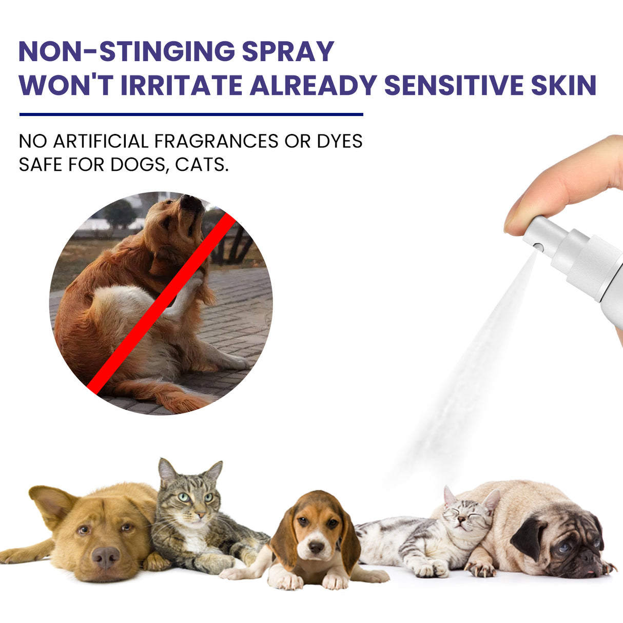 Pet Anti-Itch Spray, Pet Universal Cleaning And Soothing Skin Fur For Anti-Mite Anti-Bug Anti-Itch Spray - V.I.P Digital Presence