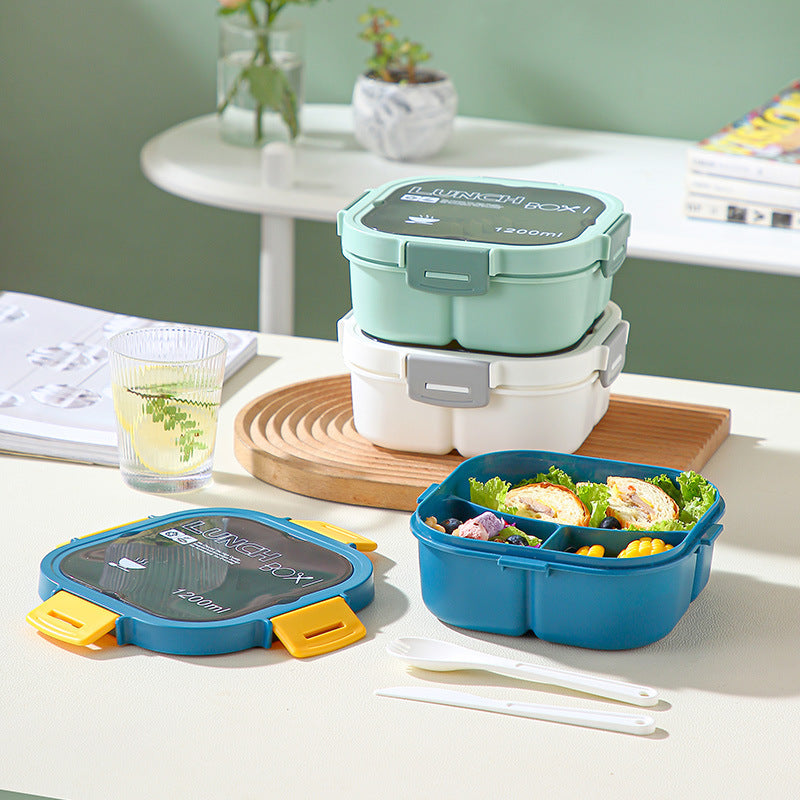 Classic simple microwaveable portable salad box lunch box with cutlery - V.I.P Digital Presence
