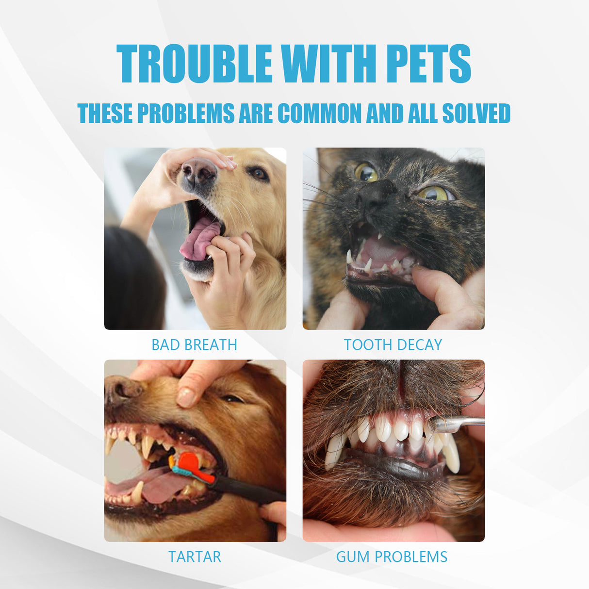 Pet Toothpaste, Fresh Breath Bad Breath Tartar Clean Dog And Cat Oral Care Edible Toothpaste - V.I.P Digital Presence