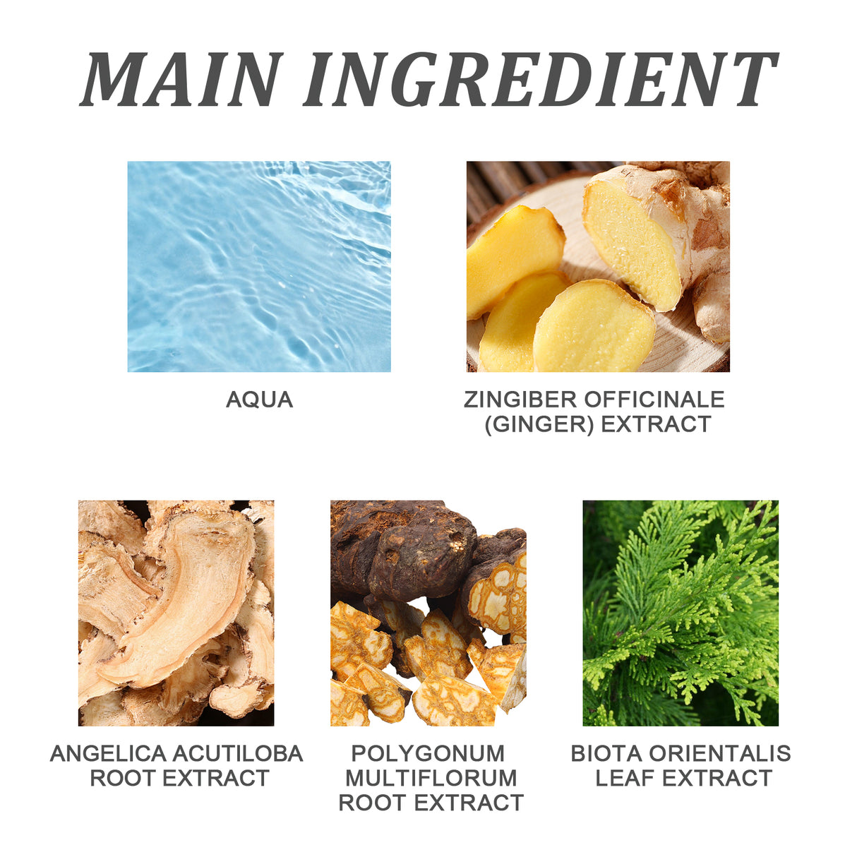 Old Ginger Hair Care Essence Oil, Moisturize Hair Roots Repair Frizzy Knot Supple Strong Thick Hair - V.I.P Digital Presence