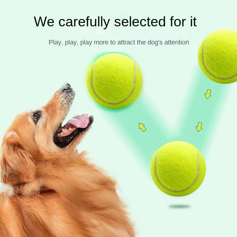 Dog Toy Rubber Elastic Tennis Ball Small and Medium sized Dog Bite Dog Toy - V.I.P Digital Presence