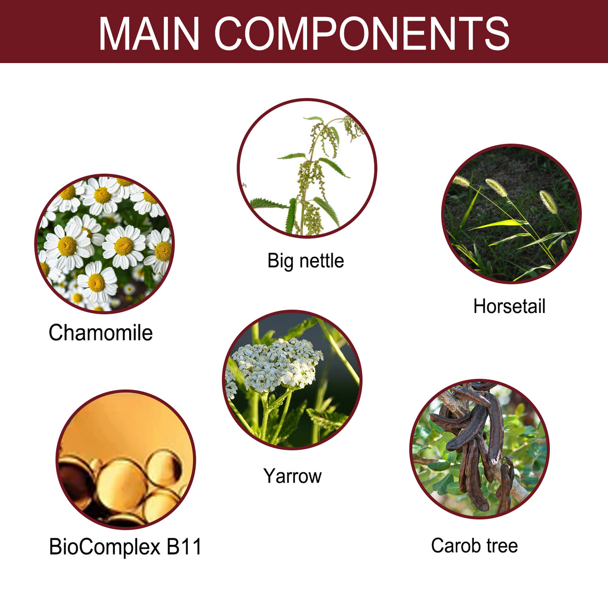 Hair Intensive Essence, Moisturizes Hair Roots, Fast Growing Prevents Loss And Strengthens Hair Care Essence - V.I.P Digital Presence