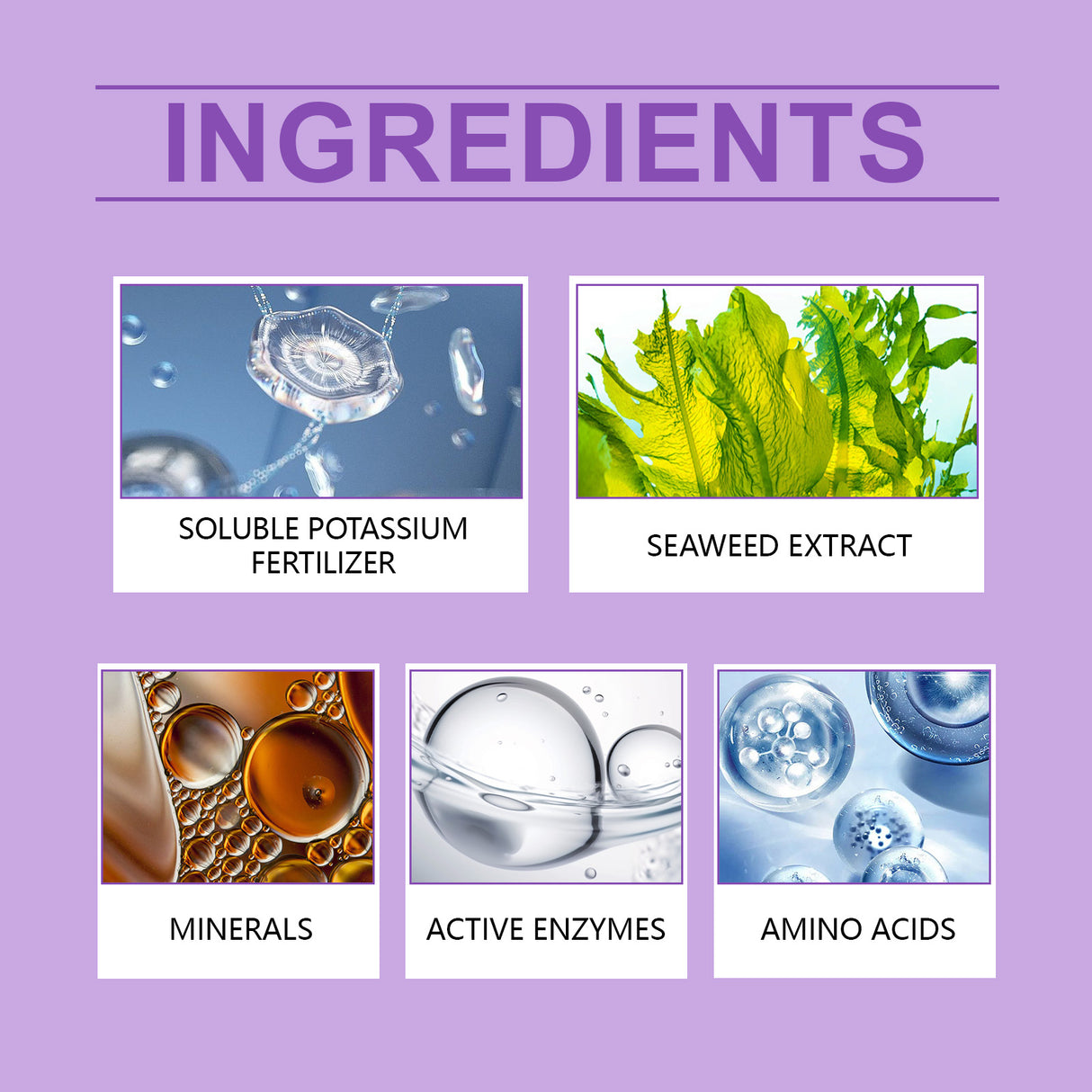 Orchid Plant Growth Agent Flower Green Plant Special Nutrient Solution For Orchid Pot Common - V.I.P Digital Presence