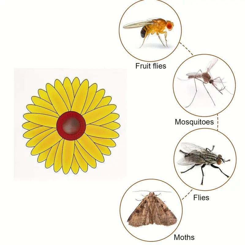 Window Fruit Fly Traps with Strong Stickiness Indoor use Sunflower Window Fly Stickers - V.I.P Digital Presence