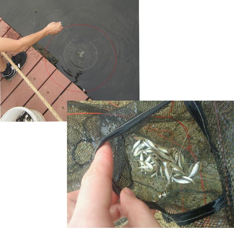 6 Hole Fishing Net Folded Portable Hexagon Network Casting Nets