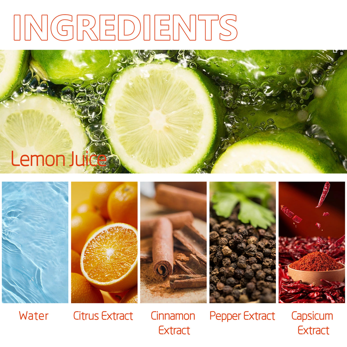 Pet Anti-Chew Spray Pet Behavior Modification Anti-Bite Scratching Spray For Cats And Dogs - V.I.P Digital Presence