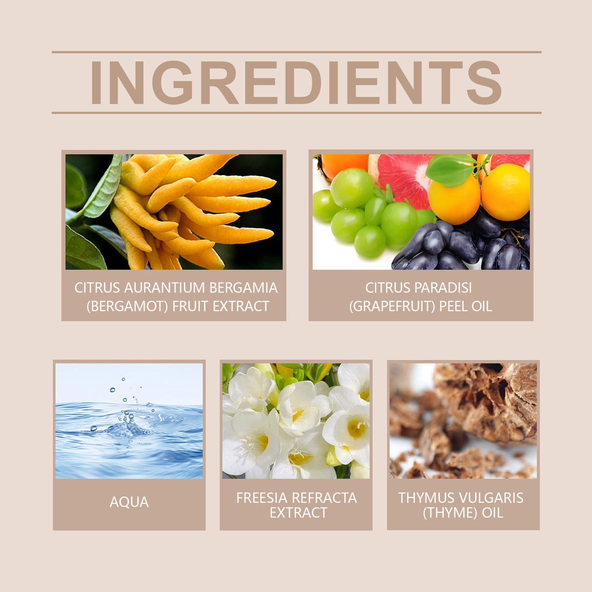 Bergamot Orchid Fragrance Perfume For A Couple's Date Atmosphere With A Charming Portable Fragrance Fragrance - V.I.P Digital Presence