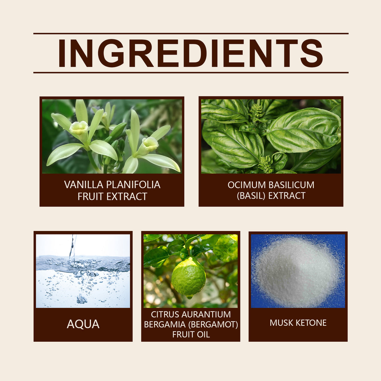 Vanilla Basil Perfume Mild Niche Vanilla Light Fragrance Stay Fragrance Lasting Dating Charm Natural Light Elegant Perfume - V.I.P Digital Presence