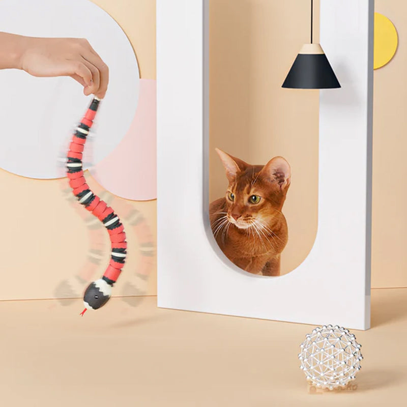 USB Rechargeable Interactive Cat Toy with Smart Sensing, an Automatic Electronic Snake for Kittens' Indoor Play. - V.I.P Digital Presence