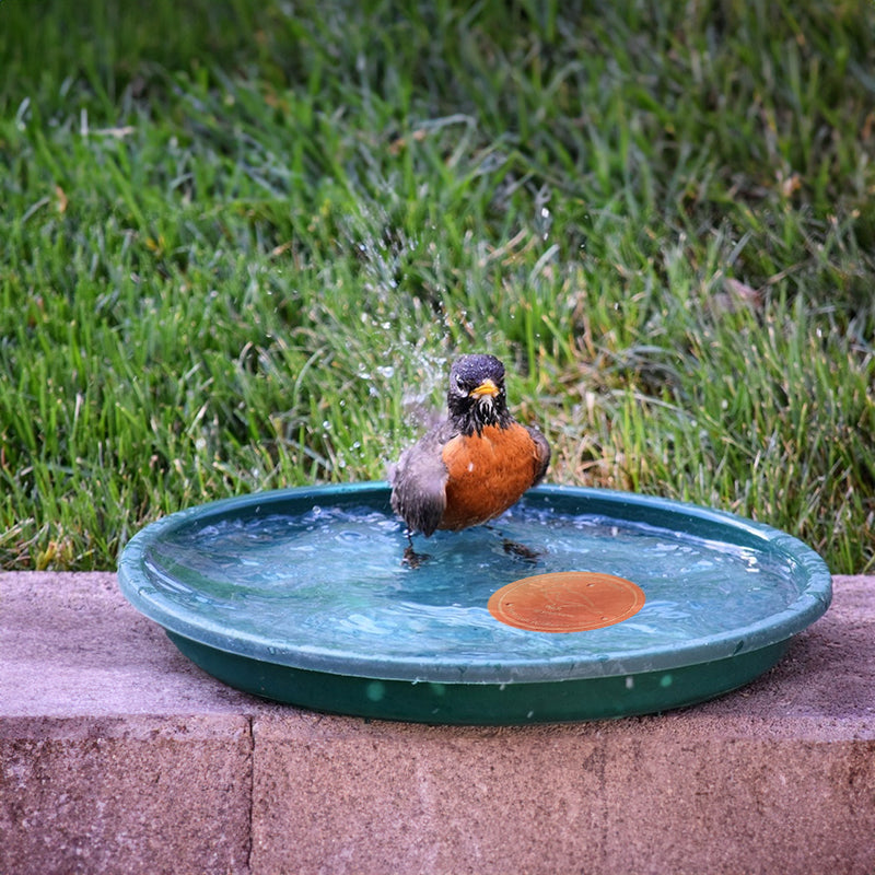 Universal Bird Bath Copper Tray with 3-point Support Purification Plate – for Outdoor Bird Baths & Feeding Bowls - V.I.P Digital Presence