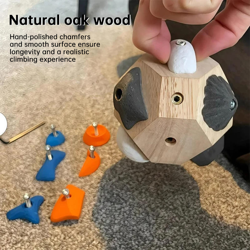 Handmade Boulder: Climbing Support, Strength Building, Exact Decor, Gift - V.I.P Digital Presence