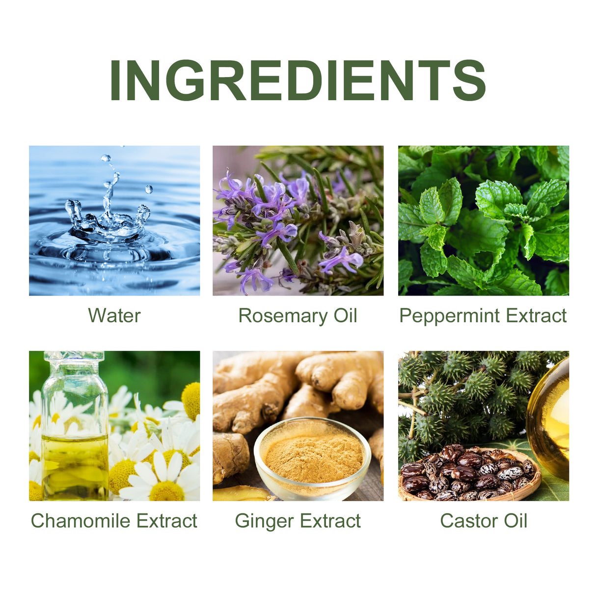 Rosemary Mint Pro Hair Care Shampoo, Scalp Massage Cleaning Care Repair Bifurcation Strong, Supple And Dense Hair - V.I.P Digital Presence