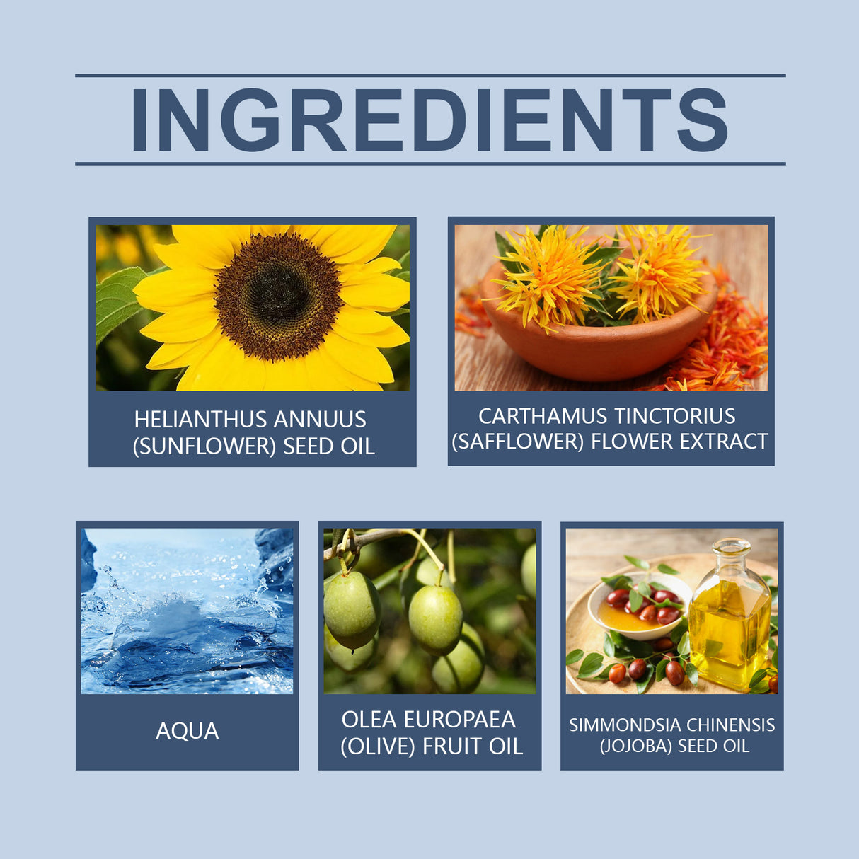 Body Care Oil, Ease Back, Neck And Shoulder Discomfort And Improve Flexibility Massage Oil - V.I.P Digital Presence