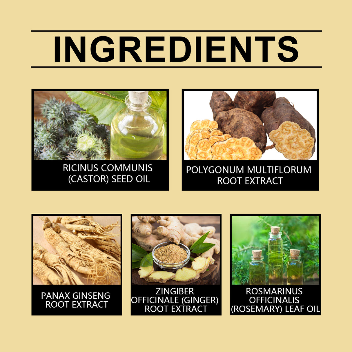 Scalp Nourishing Spray Strengthens Hair And Moisturizes Hair And Scalp Care Plant Extract - V.I.P Digital Presence