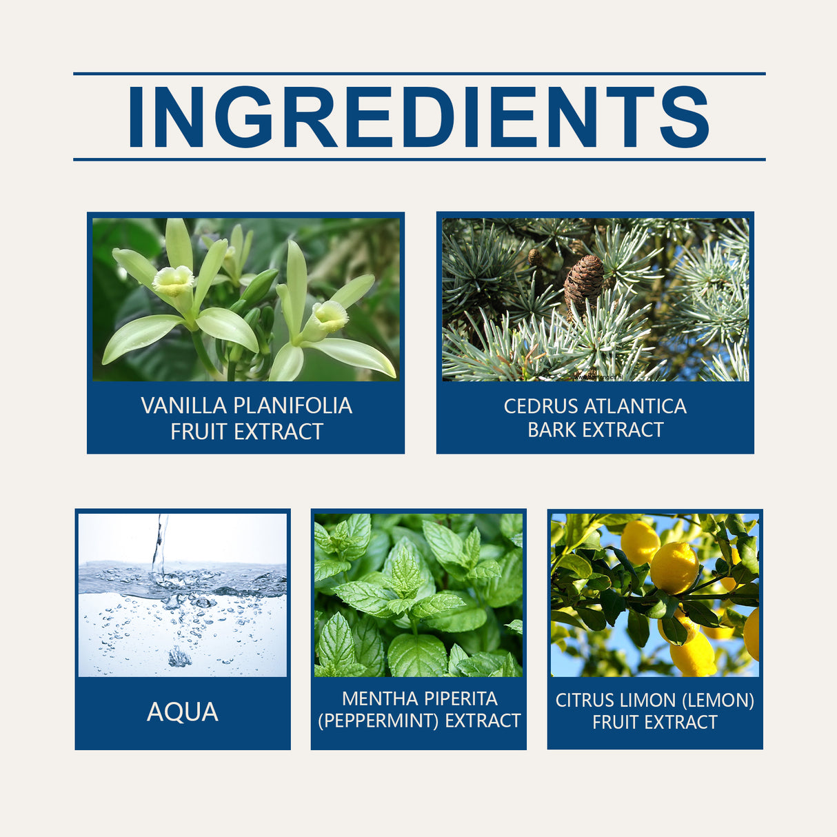 Men's Ball Perfume Fresh Natural Light Fragrance Lasting Fragrance Portable Elegant Ball Design Perfume - V.I.P Digital Presence