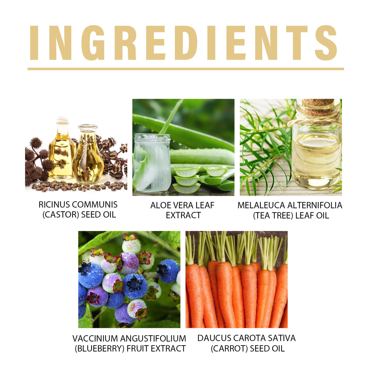 Castor Oil Lash Growth Serum, Mild Lasting Not Easy To Halo Makeup Natural Slim Black Beautiful Voluminous Voluminous Mascara - V.I.P Digital Presence