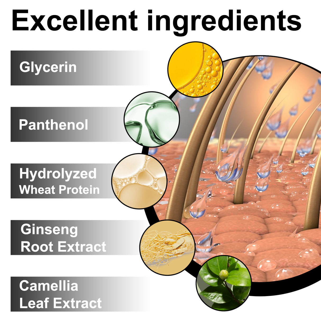 West & Month Anti-Shedding Hair Spray, Improve The Hairline Hair Hair Nutrition Moisture Hair Roots - V.I.P Digital Presence