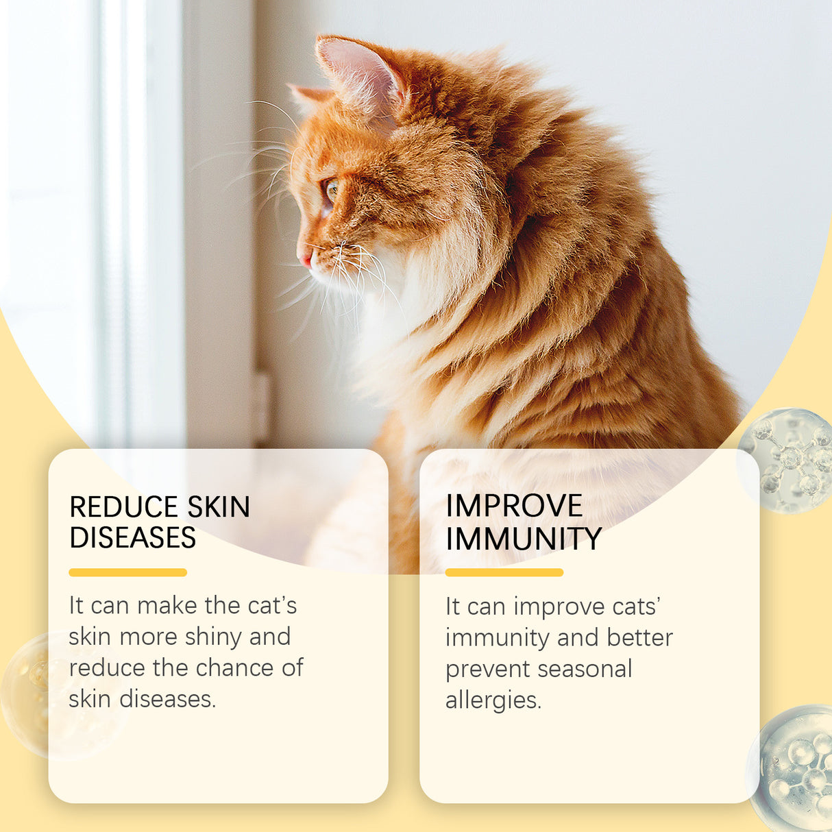 Cat Care With Multi-Dimensional Fish Oil Tablets Cat Care Vitamin Moisturizing Skin Fish Oil Care Tablets - V.I.P Digital Presence