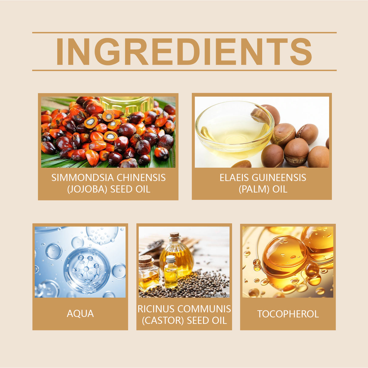 Batana Castor Oil Nourishes Scalp And Restores Dry Hair - V.I.P Digital Presence