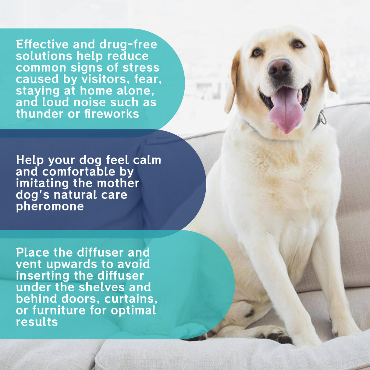 Pet Emotional Care Solution, Relieve Cats And Dogs Anxiety Fretful Comfortable And Calm Care Liquid - V.I.P Digital Presence