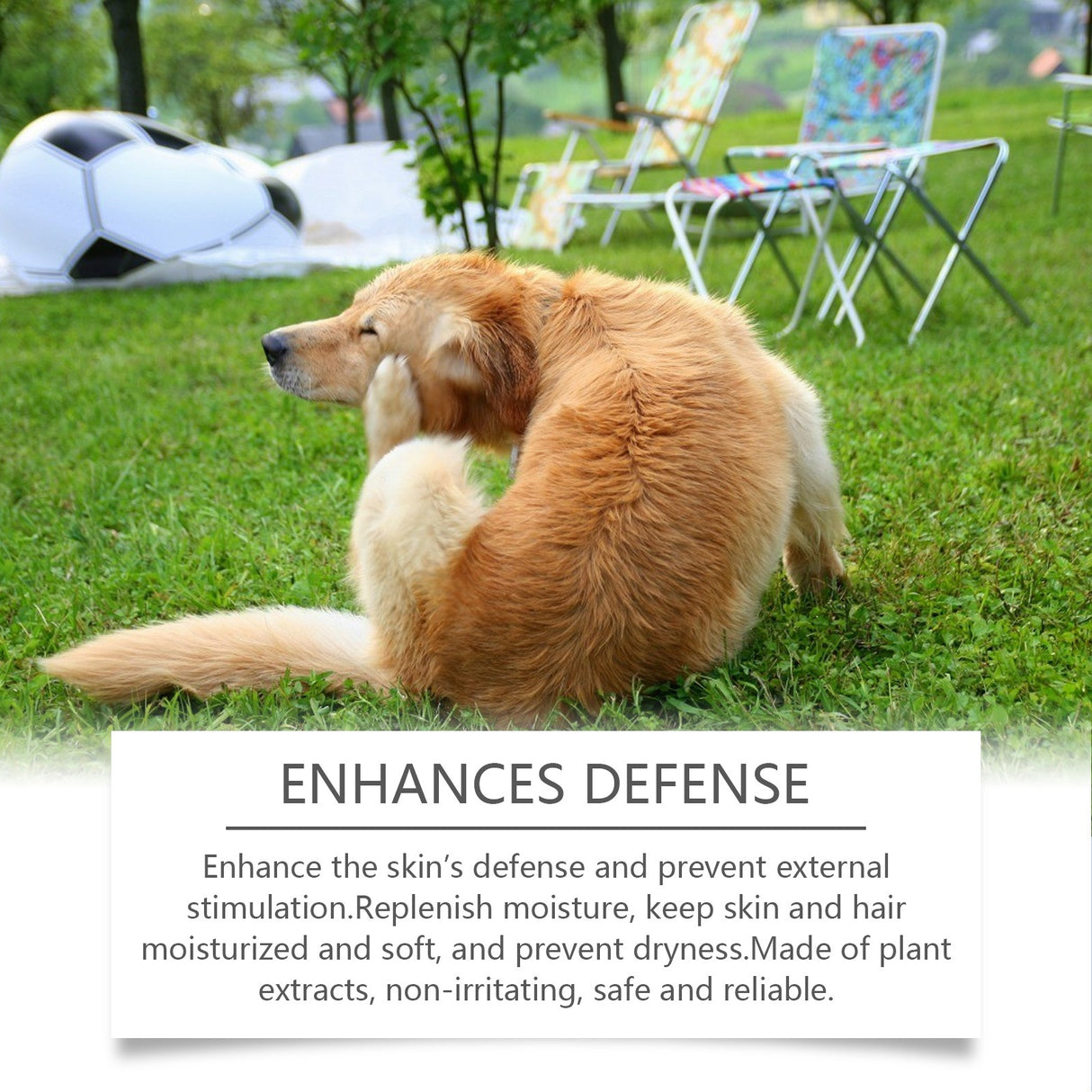 Dog Shampoo for Gentle Cleaning and Nourishing Soft Fur - V.I.P Digital Presence