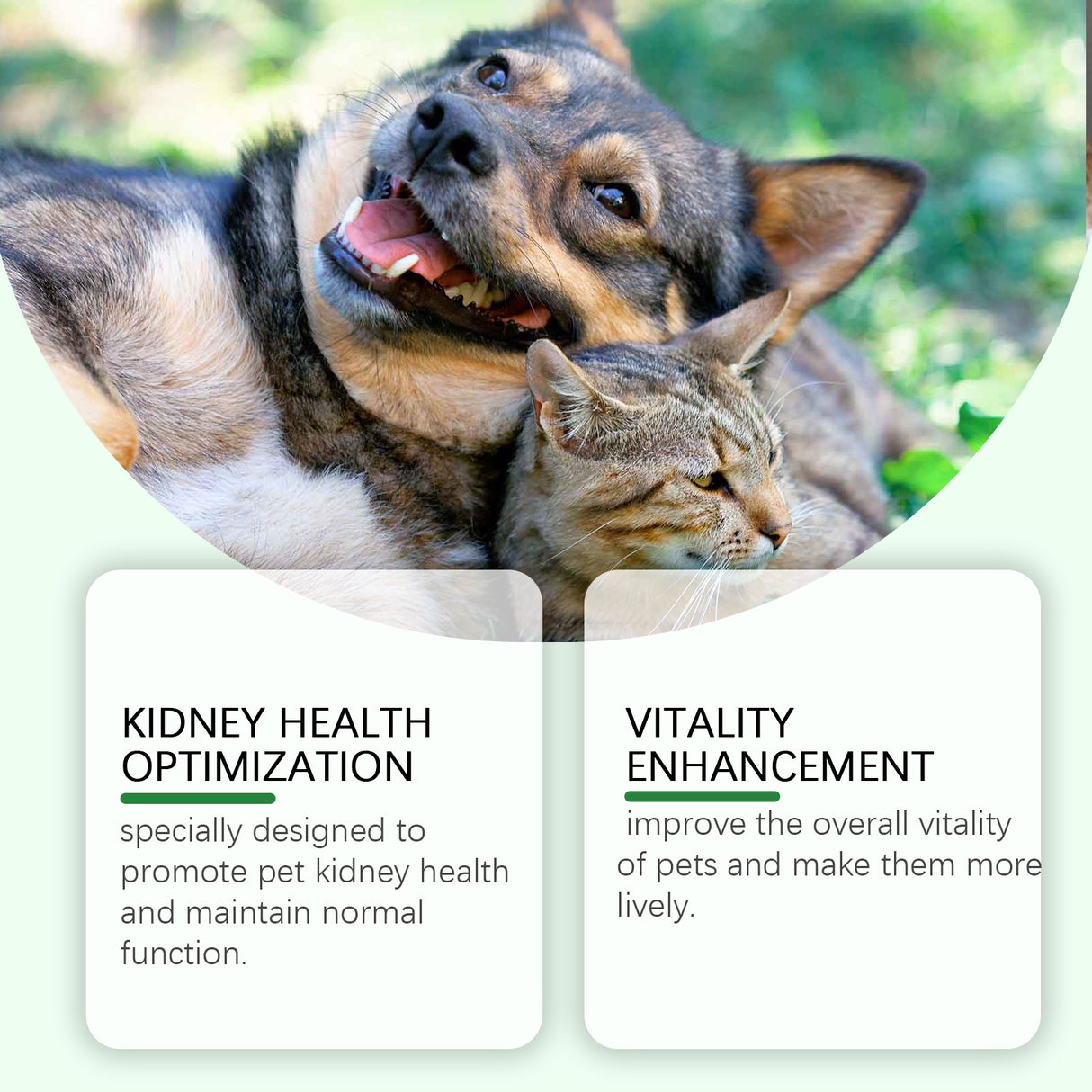 Pet Care Supplement To Enhance The Health Of Pets Gentle Ingredient Care Supplement - V.I.P Digital Presence