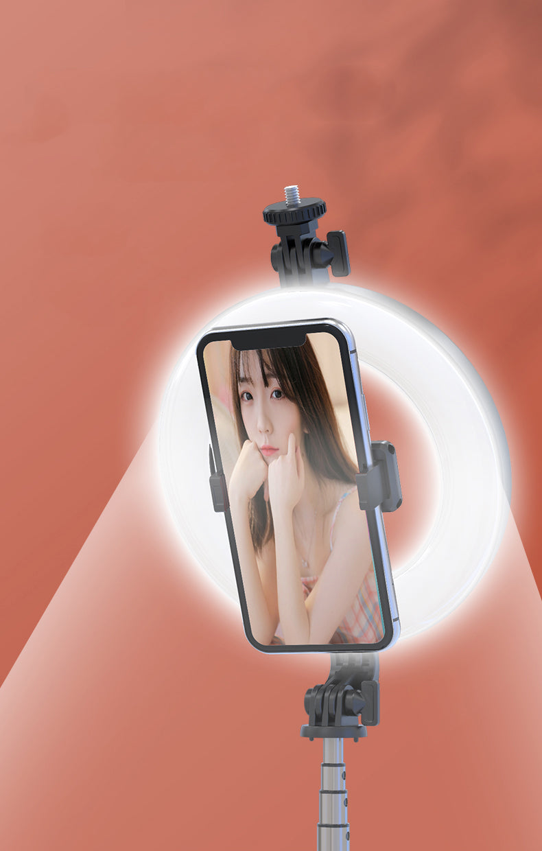 New P40D Portable Selfie Stick With 6 Inches Round Net Celebrity Beauty Fill Light Mobile Phone Live Support