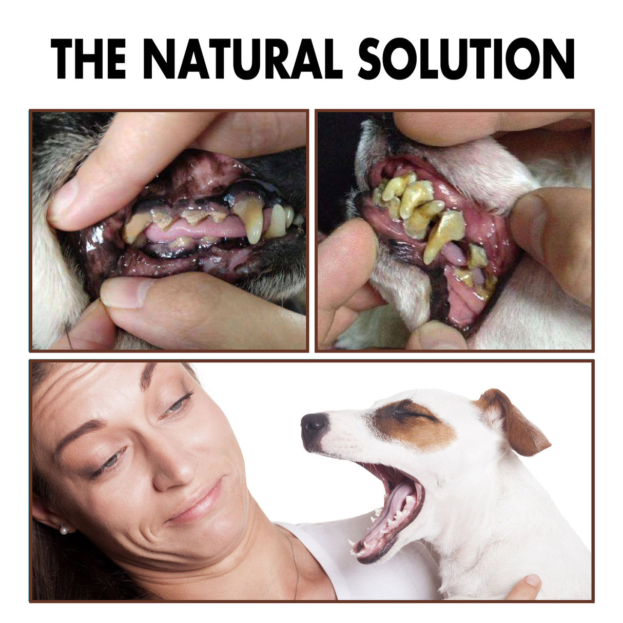 Pet Tooth Cleaning Spray, Cats And Dogs Removal Tartar Stains Bad Breath Oral Cleaning Spray - V.I.P Digital Presence