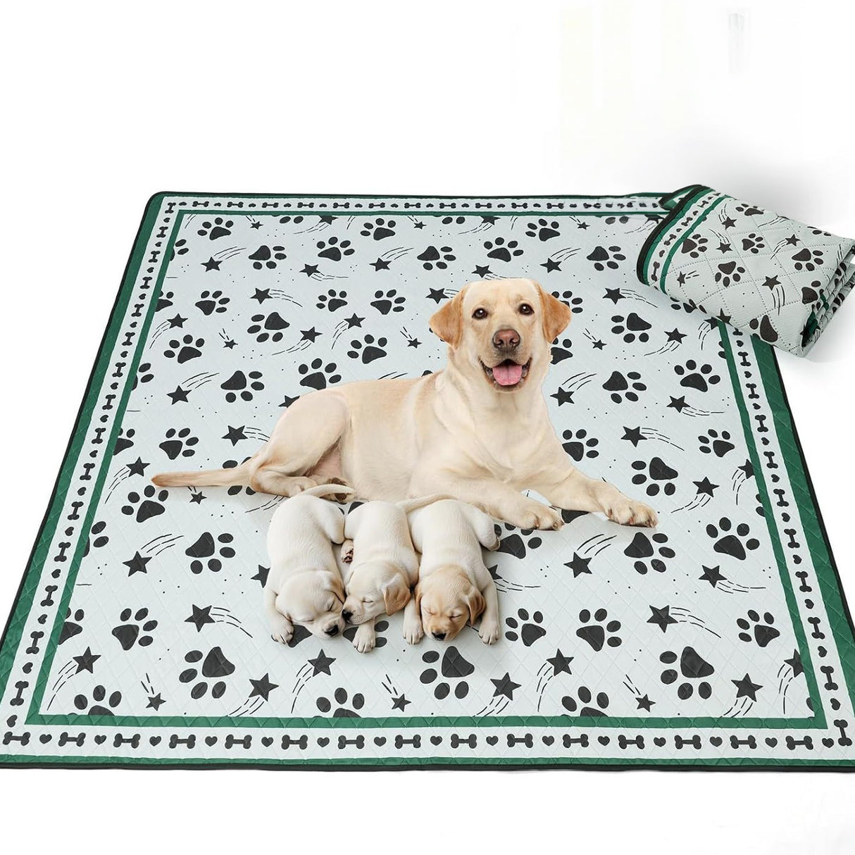 Scandinavian Minimalist Carpet Pet Mat, Stain-Resistant and Easy to Clean Sofa Coffee Table Mat, Urine-Proof Cat and Dog Pad - V.I.P Digital Presence